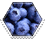 blueberry pattern stamp