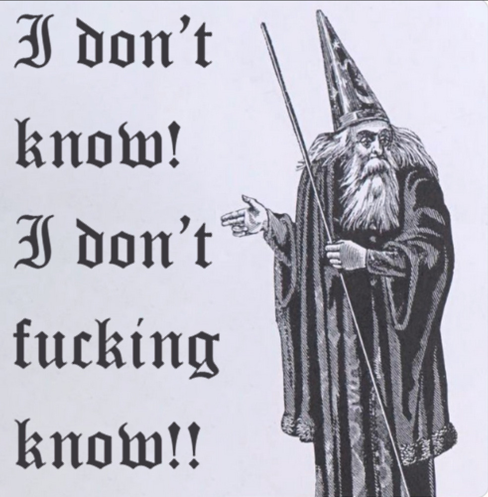 Wizard shrugging next to text saying 'I don't know, I don't fucking know'